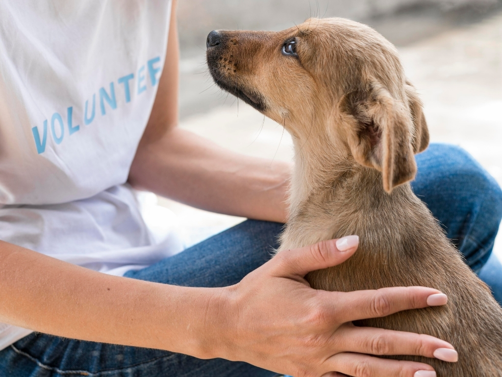 Fundraising for <span>Pets and Animals</span> Made Simple.